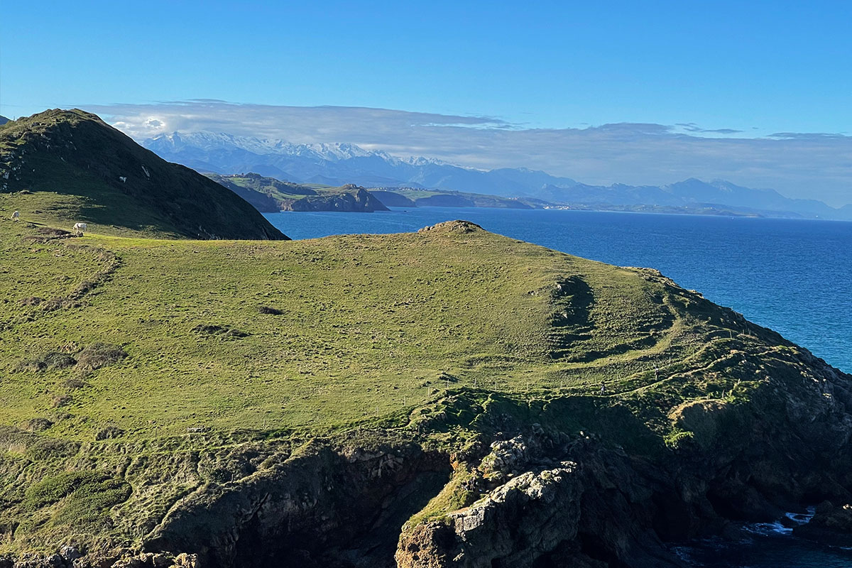 Vista Monte